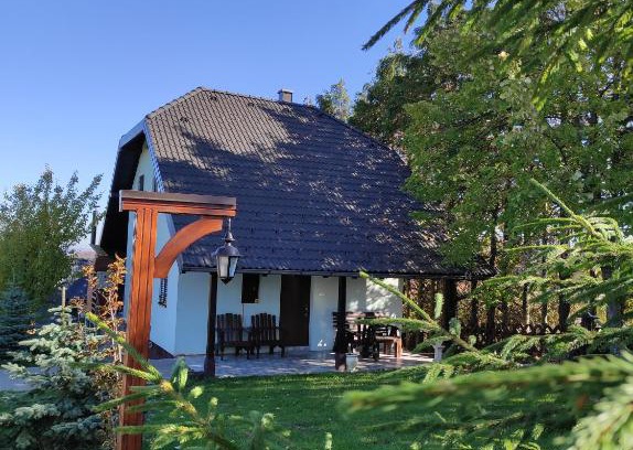 Bajina Basta Villa | Vila Hajdi Planina Tara