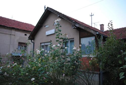 Stara Planina Apartment | Vila Happy Story