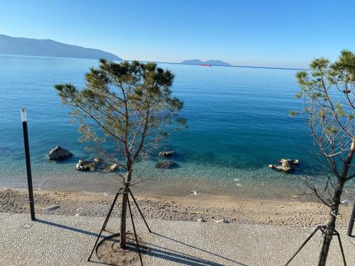 Vlore Villa | Vila Kurti