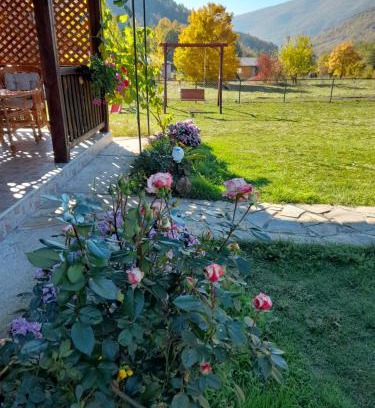 Mokra Gora Apartment | Vila Petar