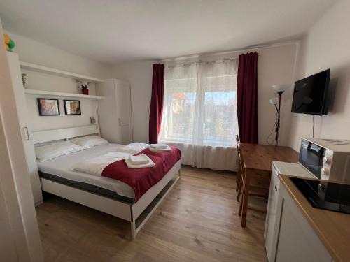 Heviz Apartment | Villa Angel'OK
