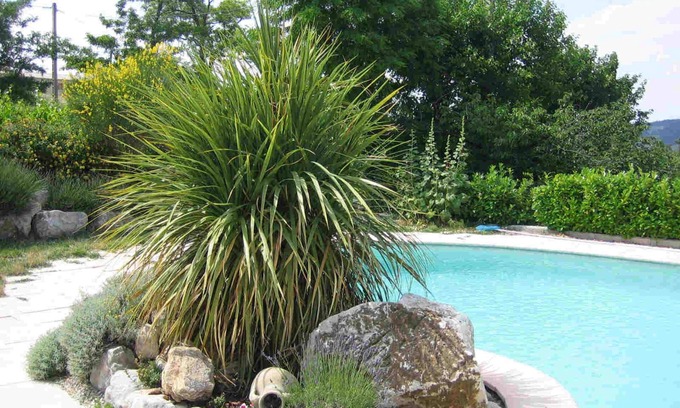 Villedieu Villa | Villa 'Authentic with Swimming Pool' with Private Pool, Private Terrace and Wi-Fi