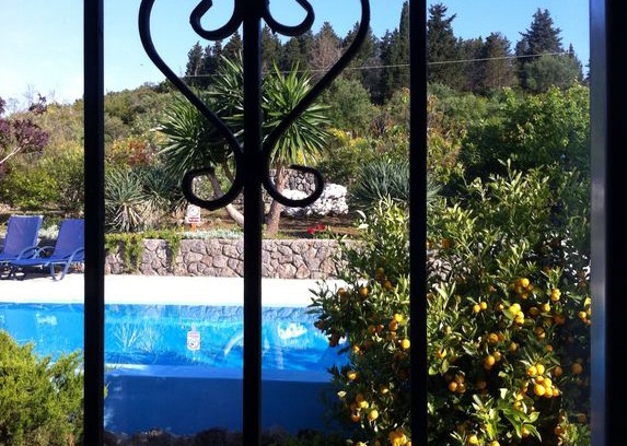 Corfu Villa | Villa Callisto Infinity pool and private gardens..