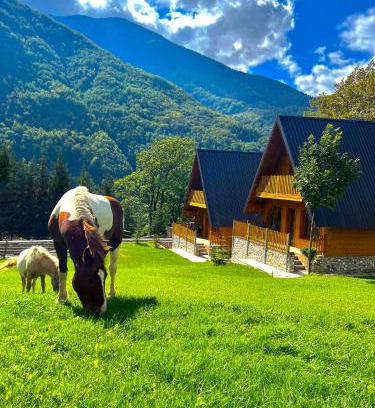 Pejë Villa | Villa Dardania