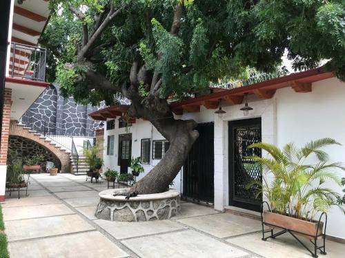 Lomas de La Selva Apartment | Villa familiar El Ciruelo
