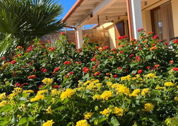 Orosei Villa | Villa Impetrata IUN Q7090