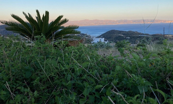 Agia Galini Villa | Villa Lakota