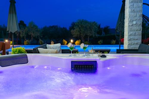 Sveti Filip i Jakov Villa | Villa Lorema-pet friendly on 5000 sqm garden,pool, jacuzzi, billiard&PS5