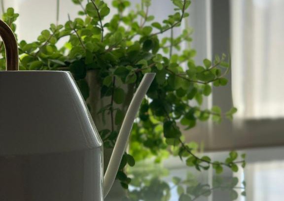 Koksijde-Bad Bed & Breakfast | Villa Monique