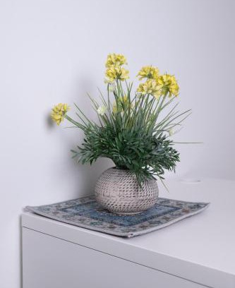 Lavinio Lido di Enea Bed & Breakfast | Villa Ninfa Alburnea