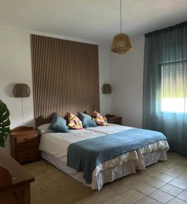Ciudad Universitaria House | Villa Palmeras