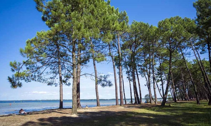 Parentis-en-Born House | Villa Parentis-en-Born, 4 bedrooms, 8 persons