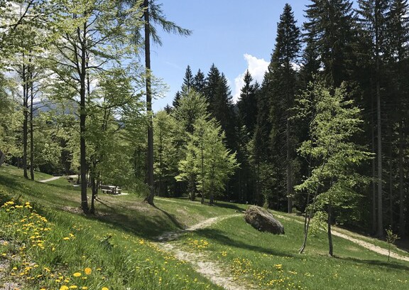 Palu Apartment | Villa Rustichella: an enchanting apartment!