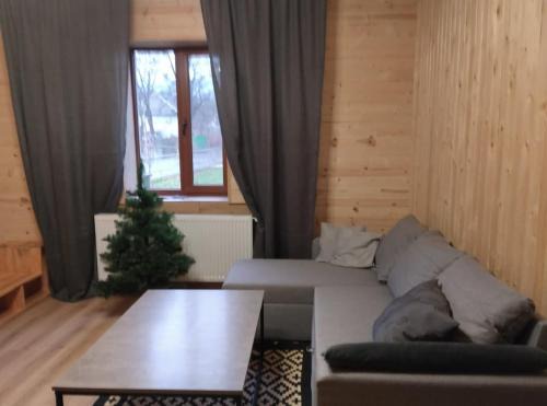 Solochyn Villa | Villa Solochyn