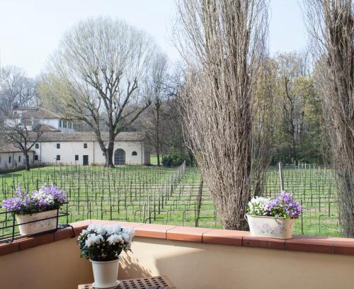 Noventa Padovana Bed & Breakfast | Villa Stefania