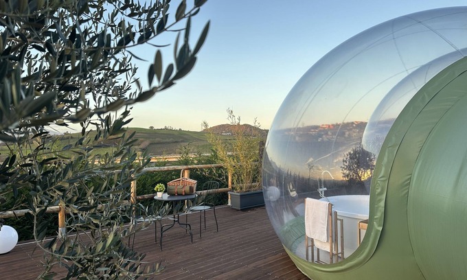Filiano Bed & Breakfast | Villa Ulivi