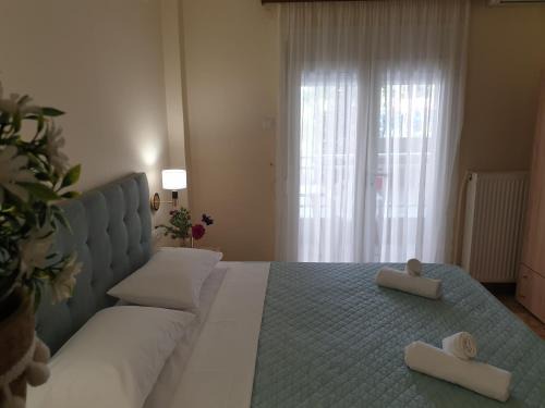Katerini Apartment | Villa Vienni