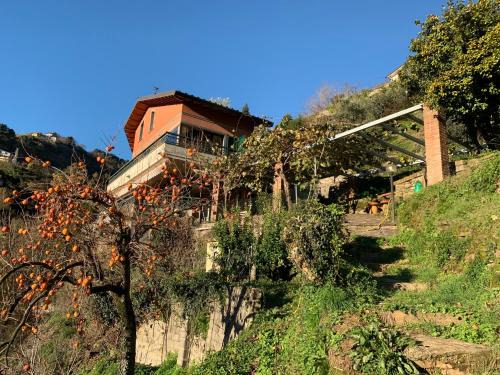 Montignoso Villa | Villa Vigna