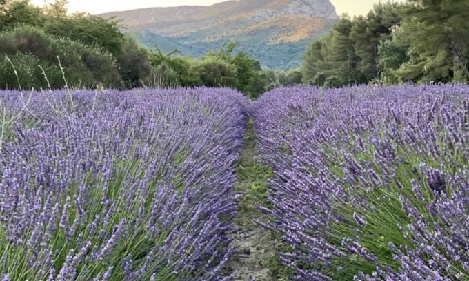 Saint-Marc-Jaumegarde House | Village house at the foot of Sainte Victoire and Lac de Bimont