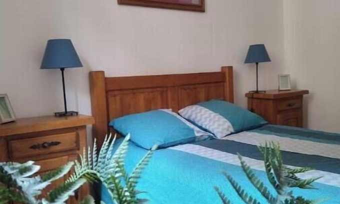 La Cote-Saint-Andre House | Village house facing the castle Pets welcome