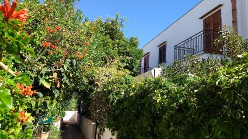 Macari House | Villetta con giardino Mandarino Macari