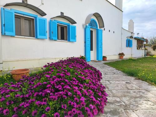 Mola di Bari Bed & Breakfast | Villino Tronchetto Bianco