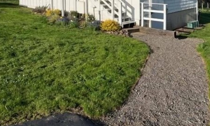 Salem House | Vineyard Barn at Aeolus Vineyard Willamette Valley