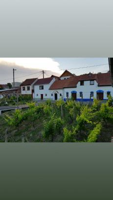 Boretice House | Vinný sklípek s ubytováním