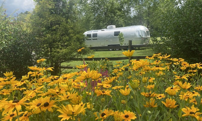 Baptistown House | Vintage Airstream “Lost inn Lavender”