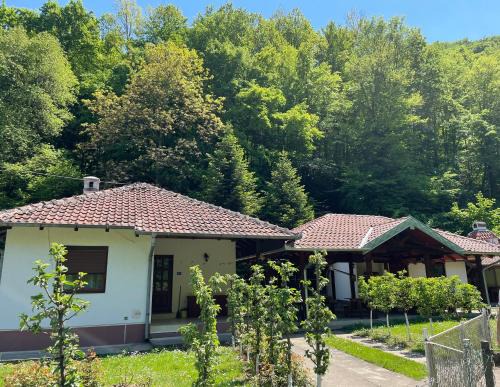 Central Serbia House | Vitez Koja