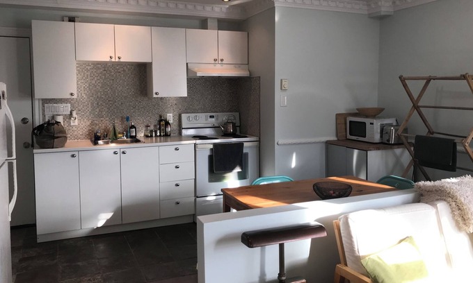 Rosemont-La Petite-Patrie Apartment | Vrbo Property