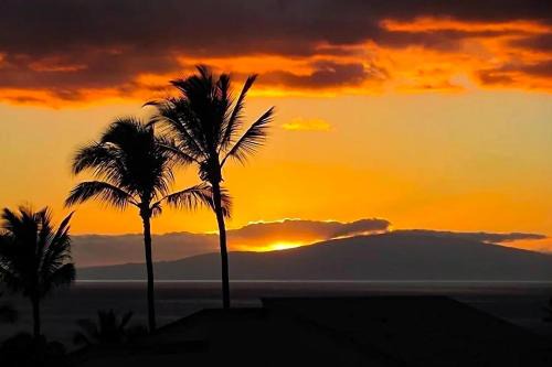 Wailea House | Wailea Ekolu 407 - Renovated, Split AC, Ocean View