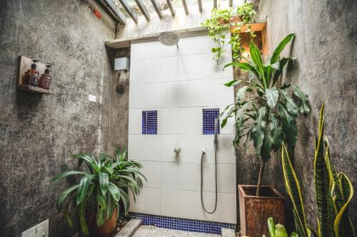 Honda Hotel | Waka Hotel Rural