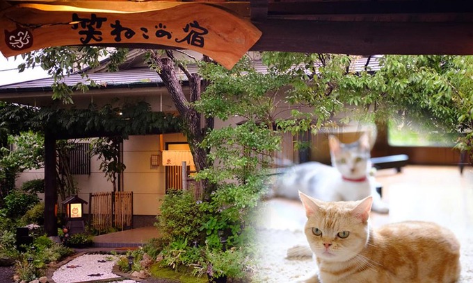 Yufuin Onsen Hotel | Waraneko no Yado