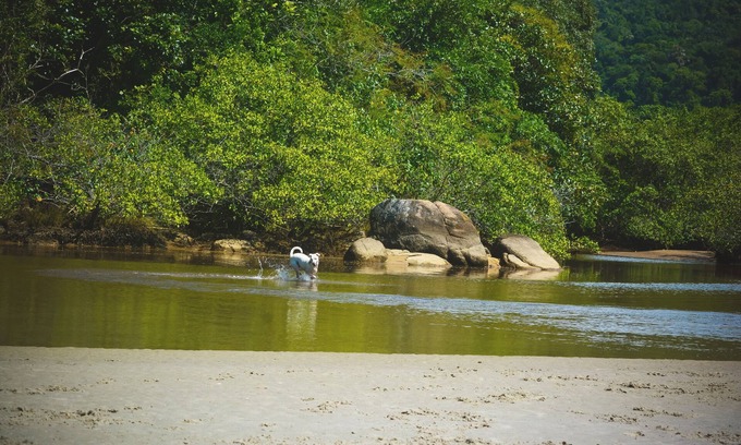 Itamambuca Ski Chalet | Water Loft - Tribus Itamambuca House