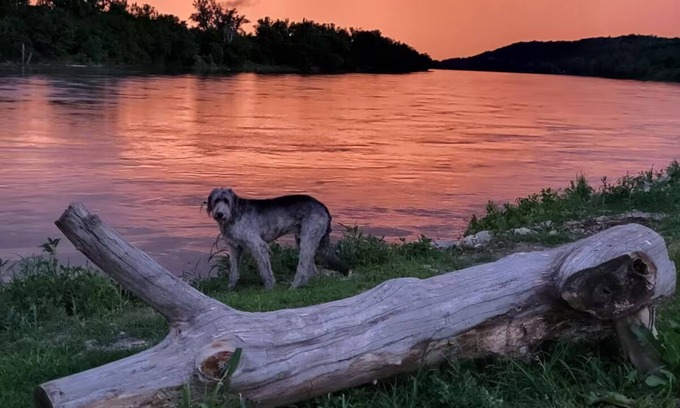 St. Joseph Cabin | Waterfront Cabin w/Sunset View, WiFi, HUGE yard, and Fire-pit!