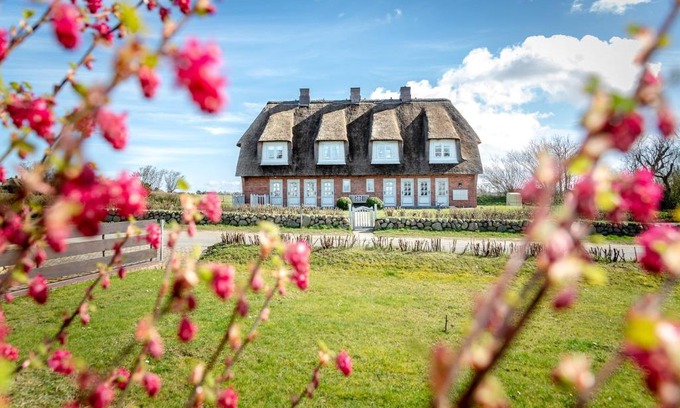 Großmorsum Apartment | Watthüs