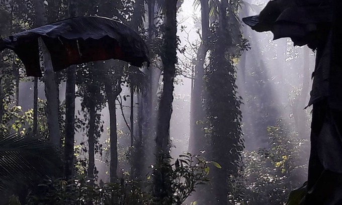 Kolagappara Bed & Breakfast | Wayanad Stay the Pepper Suite
