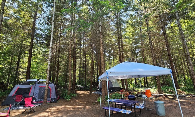 Pierce County RV Rental | Welcoming 2-Tent Site, 5 people, hussle-free camping.