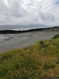 Bertsch-Oceanview Apartment | Whale Room in Crescent City