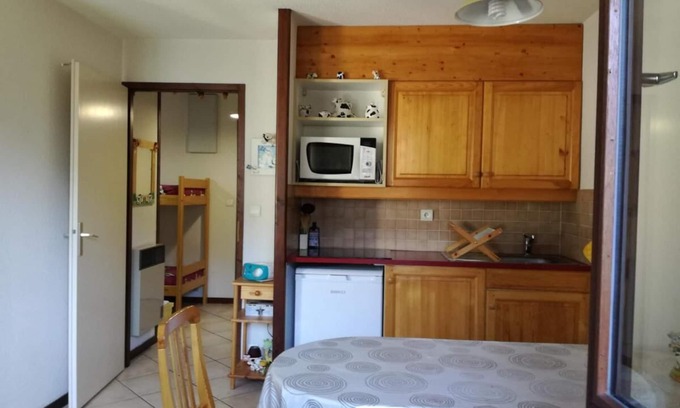 Samoens Apartment | Wifi, 3rd floor, balcony, tv, ski locker, 28m², Samoëns