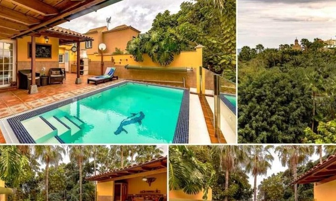 Puerto de la Cruz Villa | Willa Loro For up to 8 Persons