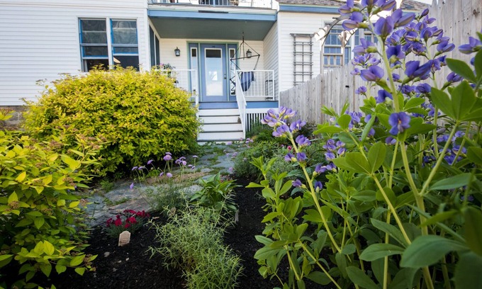 Willard Apartment | Willard Beach Get Away - Dog Friendly - Steps from the shore!
