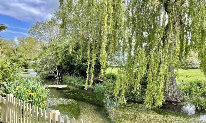 Littlebourne House | Willow Tree Lodge - Cosy lodge in the heart of the Kent countryside