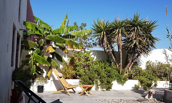 Finikia Villa | Winery Villa. Old winery converted into a stylish traditional villa with pool