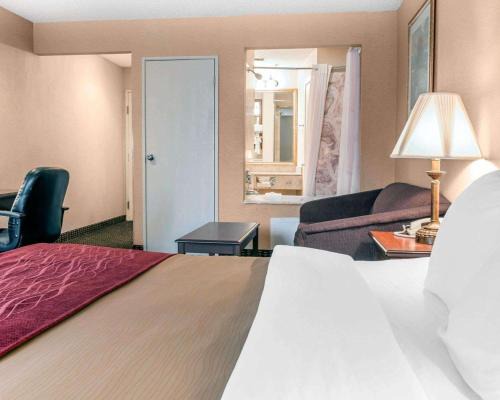 Livonia Hotel | Wingate by Wyndham Livonia