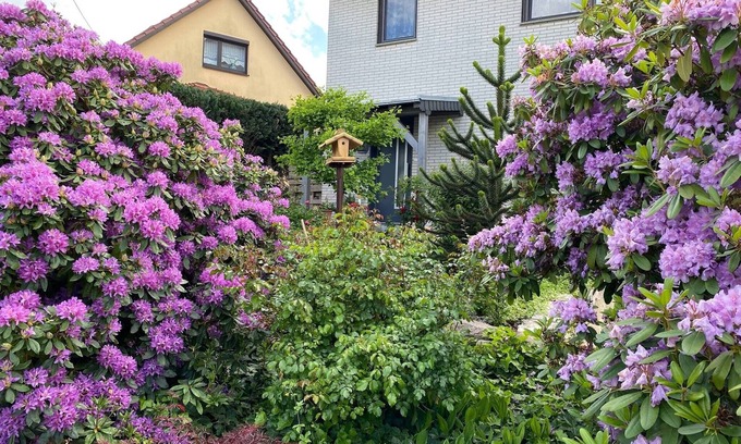 Emsetal Apartment | Wohnung nahe Inselsberg Wanderwege