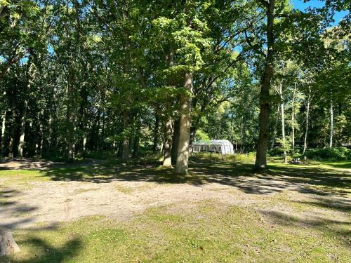 Dranske Other | WoMo Stellplatz am Ferienpark Bernstein