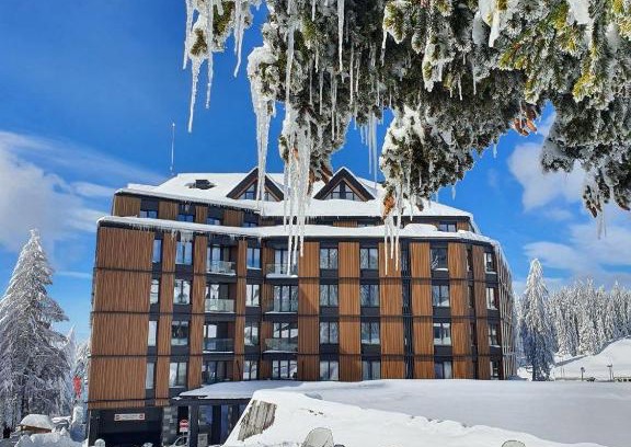Kopaonik Apartment | Woodside Apartment 218