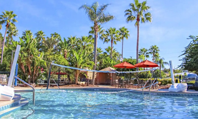 West Kissimmee Hotel | Your Magical Home in Florida! Swimming Pool, Free Shuttle, Kitchen!